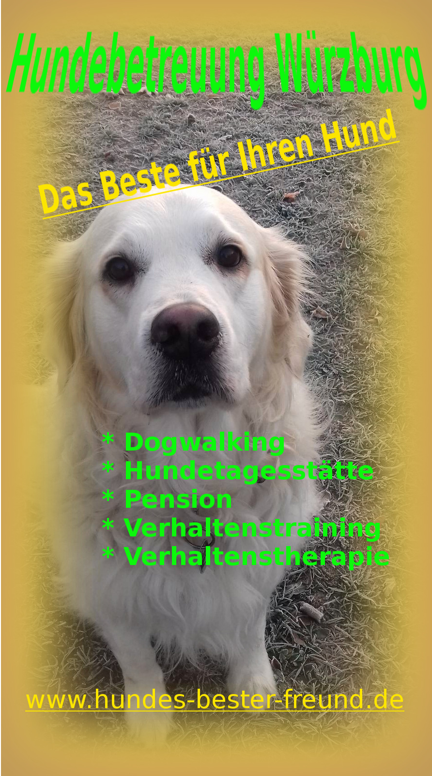 Hundebetreuung Würzburg